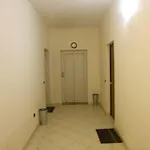 Il Rampicante